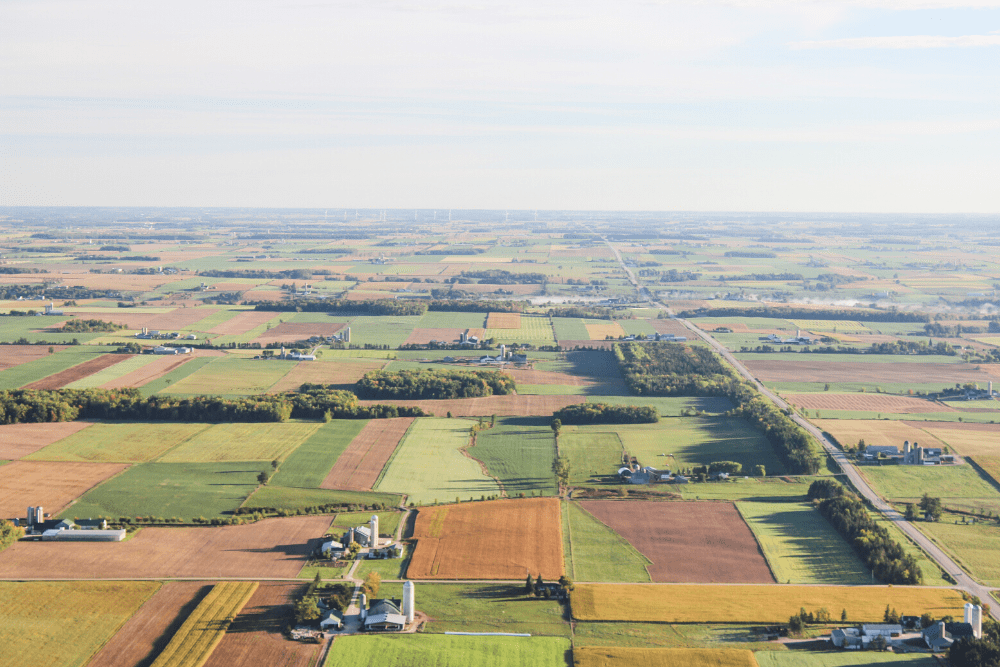 Visão aérea de uma área de agricultura, representando a importância de uma boa gestão agropecuária.