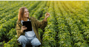 Profissional do agronegócio analisando planta em lavoura com tablet na mão, representando tecnologia e gestão no campo.