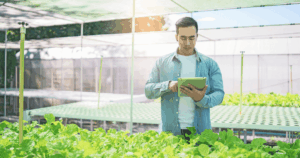 Agricultor utilizando tablet em estufa para monitoramento da plantação, representando a gestão de processos no agronegócio com base em cotações agrícolas e dados estratégicos.