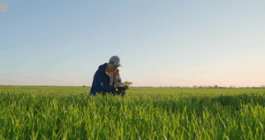 Agricultor utilizando tablet em área de plantio, representando práticas da ILPF na integração lavoura-pecuária-floresta para aumento da produtividade no agronegócio
