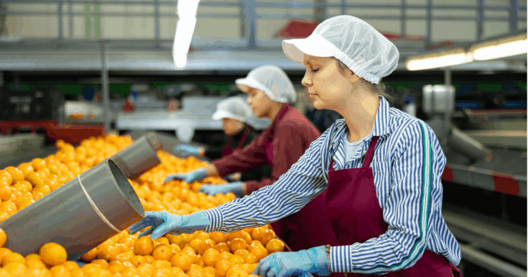 Trabalhadores em uma packing house realizando a seleção e classificação de laranjas em linha de produção, com uso de equipamentos e boas práticas de higiene.