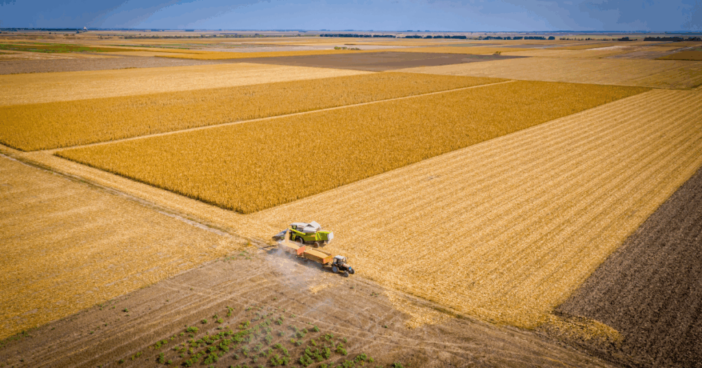 Vista aérea de uma ampla área agrícola com diferentes talhões cultivados e colhidos, destacando a prática de rotação de culturas para conservação do solo e aumento da produtividade.
