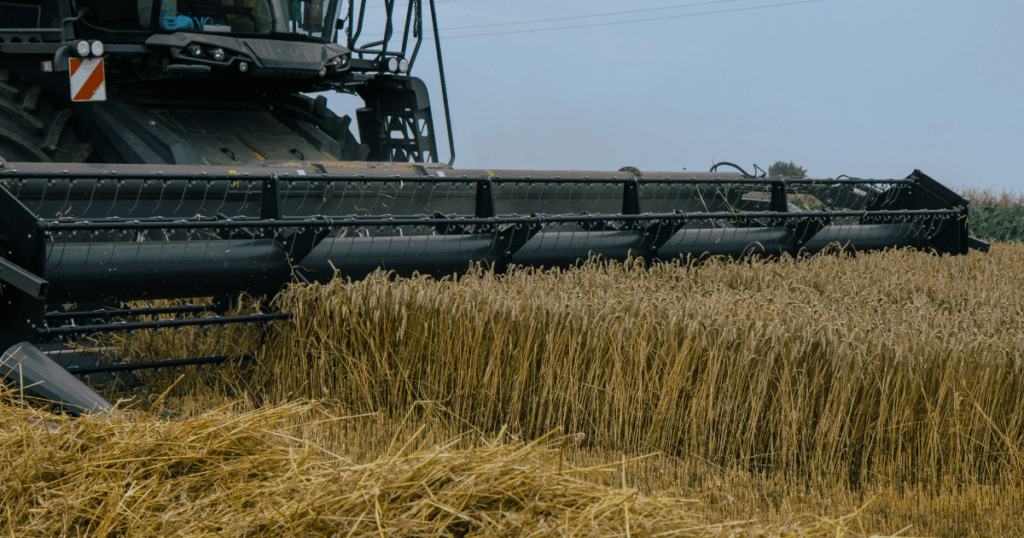 Colheitadeira realizando a colheita de trigo em uma lavoura, representando a análise de resultado por talhão para avaliação da produtividade e do desempenho agrícola.